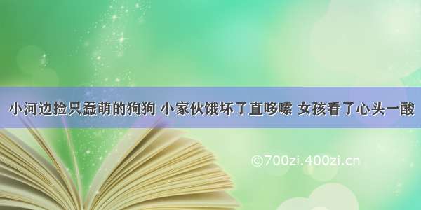 小河边捡只蠢萌的狗狗 小家伙饿坏了直哆嗦 女孩看了心头一酸