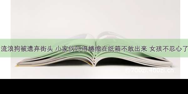 流浪狗被遗弃街头 小家伙吓得蜷缩在纸箱不敢出来 女孩不忍心了