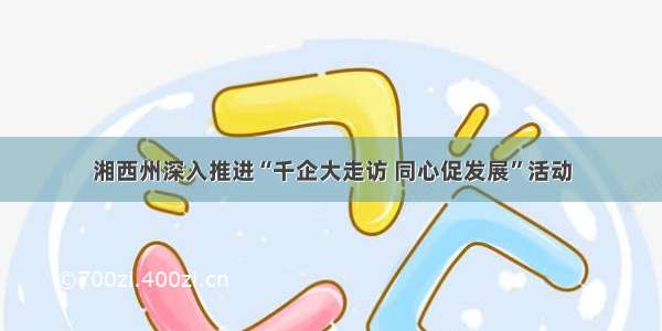 湘西州深入推进“千企大走访 同心促发展”活动