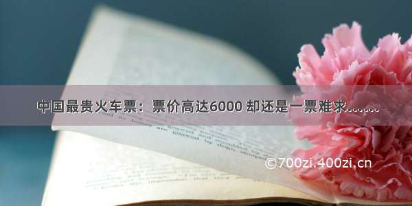 中国最贵火车票：票价高达6000 却还是一票难求……