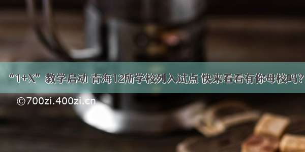 “1+X”教学启动 青海12所学校列入试点 快来看看有你母校吗？