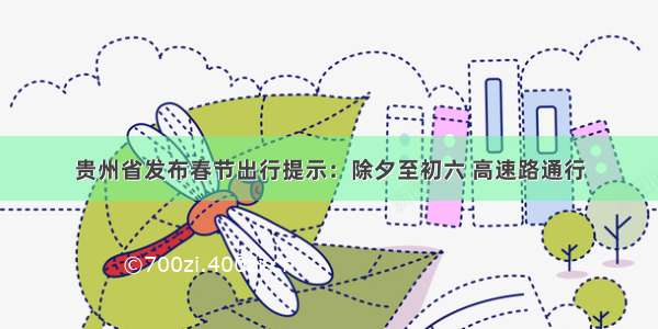 贵州省发布春节出行提示：除夕至初六 高速路通行