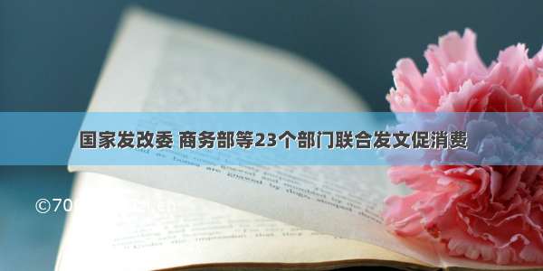 国家发改委 商务部等23个部门联合发文促消费