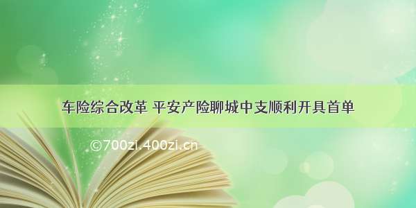 车险综合改革 平安产险聊城中支顺利开具首单