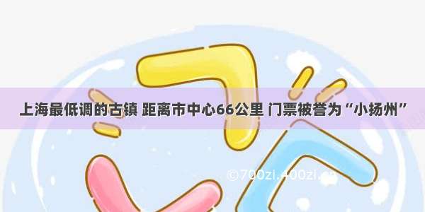 上海最低调的古镇 距离市中心66公里 门票被誉为“小扬州”