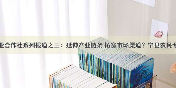 关注农民专业合作社系列报道之三：延伸产业链条 拓宽市场渠道？宁县农民专业合作社运