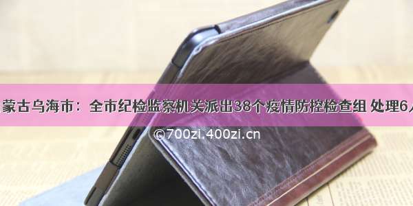 内蒙古乌海市：全市纪检监察机关派出38个疫情防控检查组 处理6人！