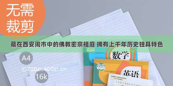 藏在西安闹市中的佛教密宗祖庭 拥有上千年历史独具特色