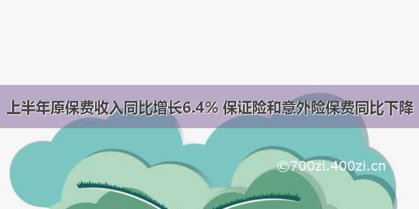 上半年原保费收入同比增长6.4% 保证险和意外险保费同比下降