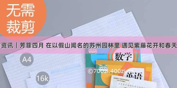 苏州市资讯｜芳菲四月 在以假山闻名的苏州园林里 遇见紫藤花开和春天的美好