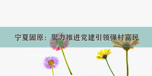 宁夏固原：聚力推进党建引领强村富民