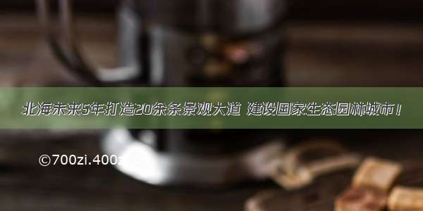 北海未来5年打造20余条景观大道 建设国家生态园林城市！