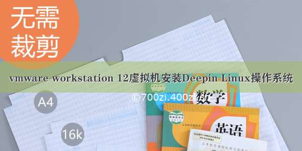 vmware workstation 12虚拟机安装Deepin Linux操作系统