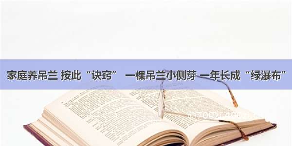 家庭养吊兰 按此“诀窍” 一棵吊兰小侧芽 一年长成“绿瀑布”