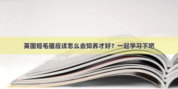 英国短毛猫应该怎么去饲养才好？一起学习下吧