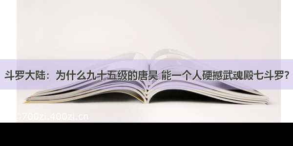 斗罗大陆：为什么九十五级的唐昊 能一个人硬撼武魂殿七斗罗？