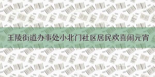 王陵街道办事处小北门社区居民欢喜闹元宵