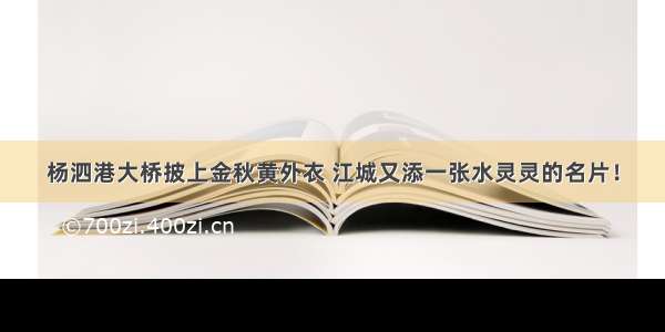 杨泗港大桥披上金秋黄外衣 江城又添一张水灵灵的名片！