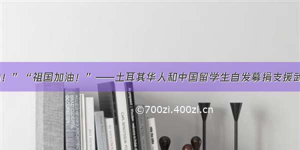 “武汉加油！”“祖国加油！”——土耳其华人和中国留学生自发募捐支援武汉抗击疫情