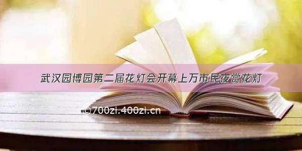 武汉园博园第二届花灯会开幕上万市民夜赏花灯