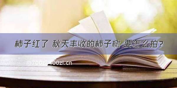 柿子红了 秋天丰收的柿子树 要怎么拍？