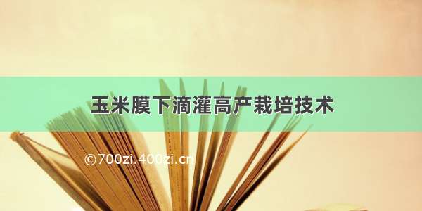 玉米膜下滴灌高产栽培技术