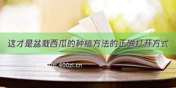 这才是盆栽西瓜的种植方法的正确打开方式