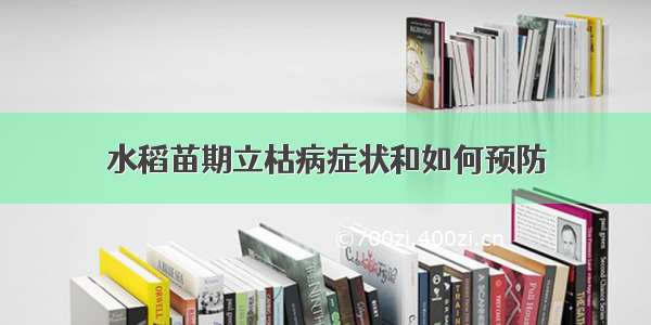 水稻苗期立枯病症状和如何预防