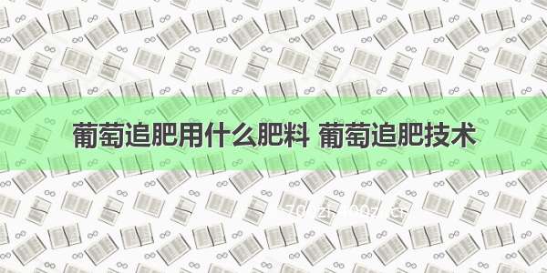 葡萄追肥用什么肥料 葡萄追肥技术