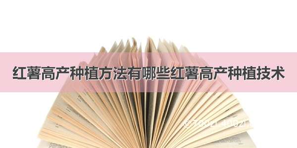 红薯高产种植方法有哪些红薯高产种植技术