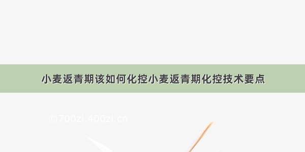 小麦返青期该如何化控小麦返青期化控技术要点