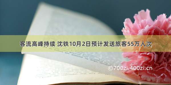 客流高峰持续 沈铁10月2日预计发送旅客55万人次