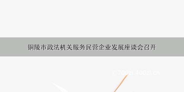 铜陵市政法机关服务民营企业发展座谈会召开