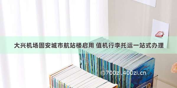 大兴机场固安城市航站楼启用 值机行李托运一站式办理