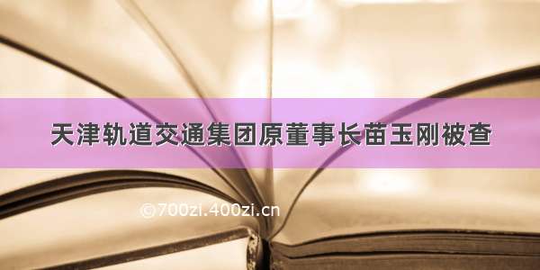 天津轨道交通集团原董事长苗玉刚被查