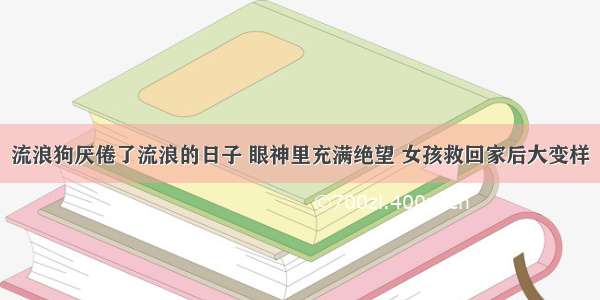 流浪狗厌倦了流浪的日子 眼神里充满绝望 女孩救回家后大变样