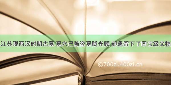 江苏现西汉时期古墓 墓穴已被盗墓贼光顾 却遗留下了国宝级文物