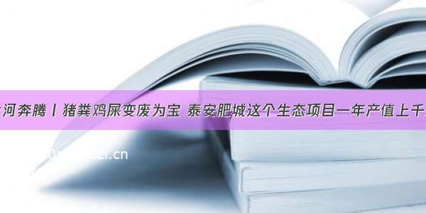 大河奔腾丨猪粪鸡屎变废为宝 泰安肥城这个生态项目一年产值上千万