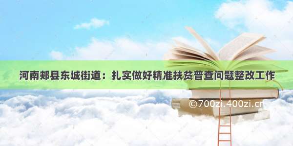 河南郏县东城街道：扎实做好精准扶贫普查问题整改工作