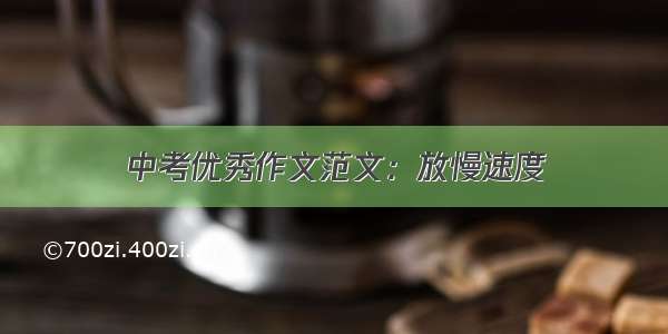 中考优秀作文范文：放慢速度