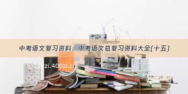 中考语文复习资料：中考语文总复习资料大全(十五)