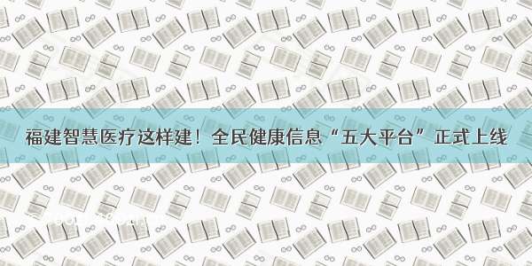 福建智慧医疗这样建！全民健康信息“五大平台”正式上线