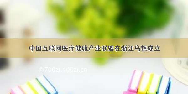 中国互联网医疗健康产业联盟在浙江乌镇成立