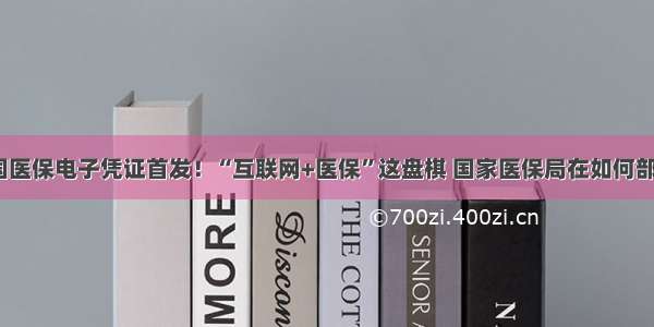 全国医保电子凭证首发！“互联网+医保”这盘棋 国家医保局在如何部署？
