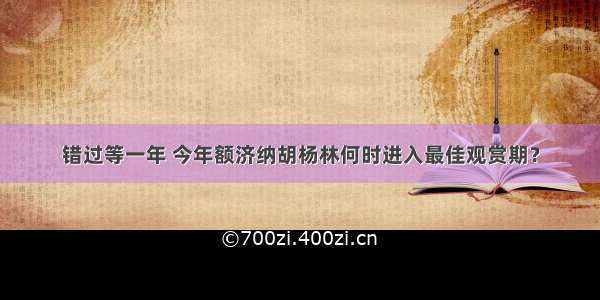 错过等一年 今年额济纳胡杨林何时进入最佳观赏期？