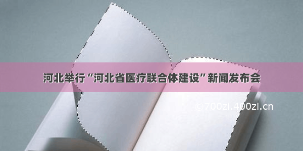 河北举行“河北省医疗联合体建设”新闻发布会