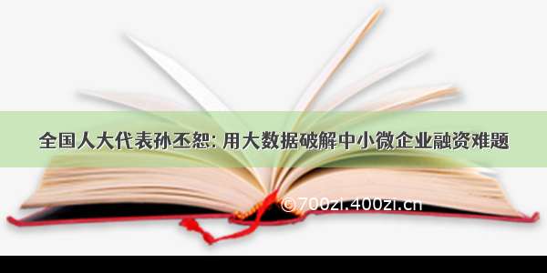 全国人大代表孙丕恕: 用大数据破解中小微企业融资难题