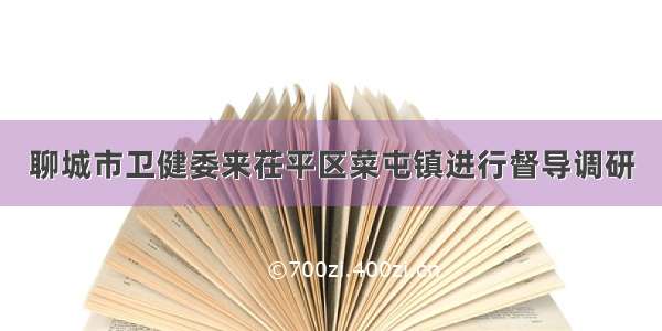 聊城市卫健委来茌平区菜屯镇进行督导调研