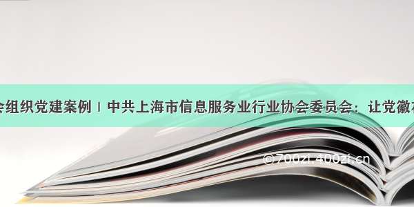 全国网络社会组织党建案例｜中共上海市信息服务业行业协会委员会：让党徽在互联网上熠