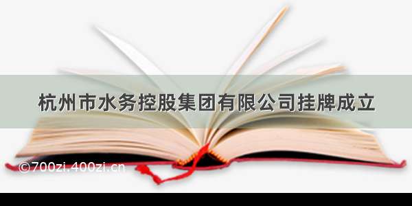 杭州市水务控股集团有限公司挂牌成立